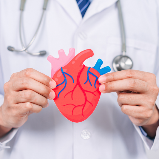 What Role Does High Blood Pressure Play in Congestive Heart Failure?