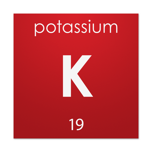 Potassium Intake